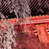 身延山