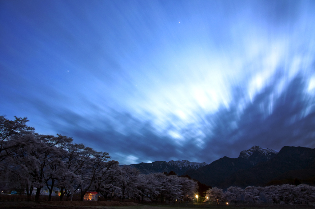 桜前線北上中