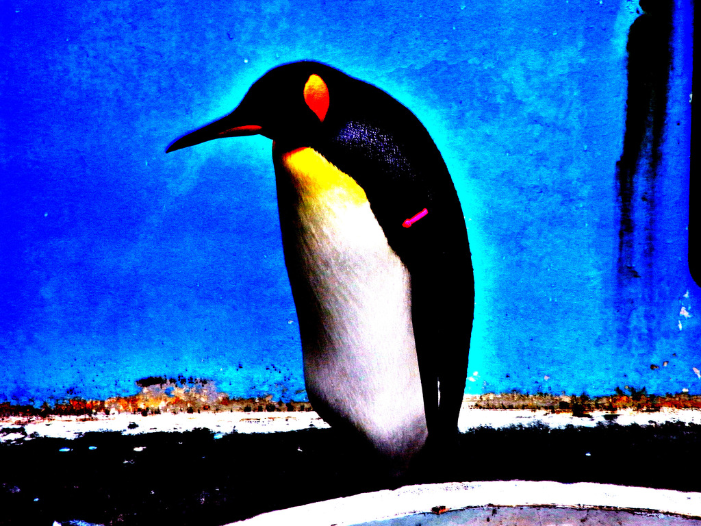penpen