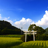 里山の夏