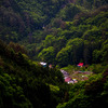 Village