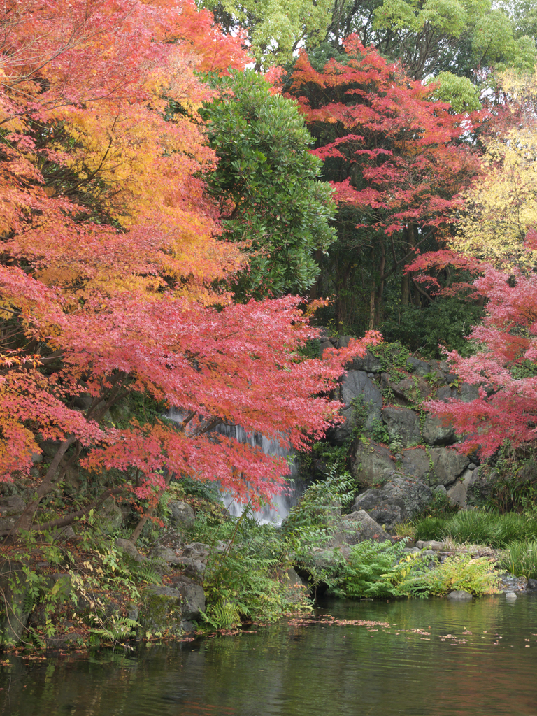 大阪　万博記念公園