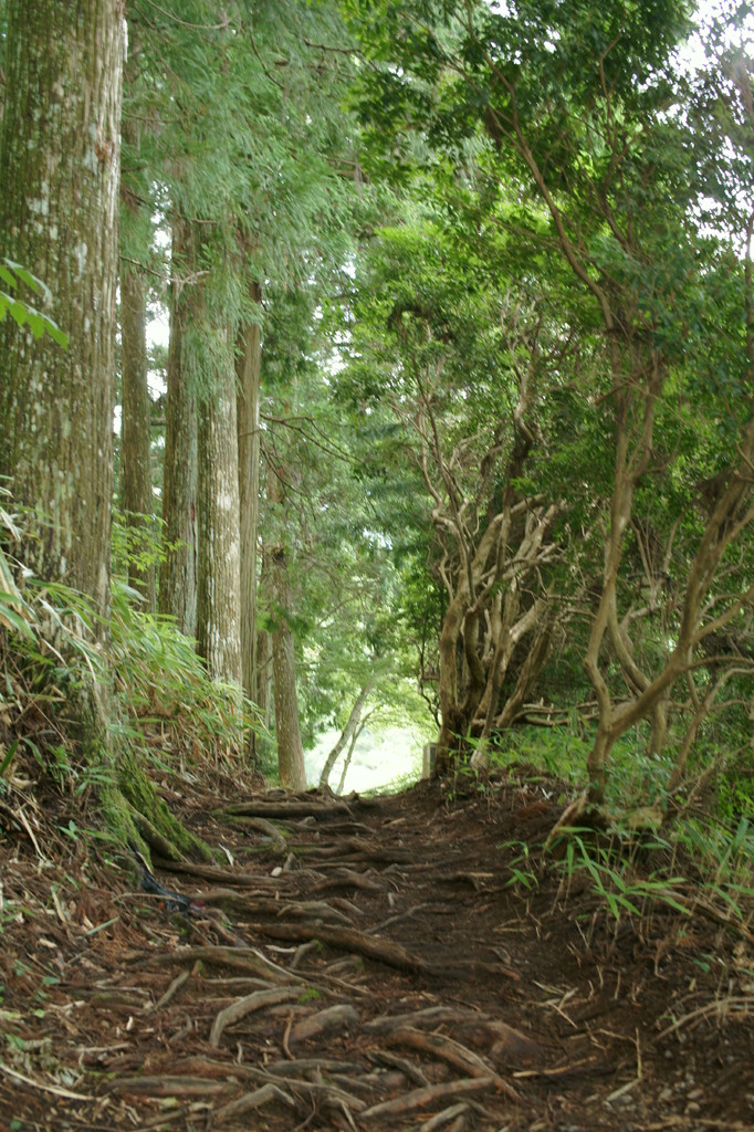 信仰の道　高野山