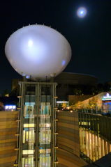 十五夜の月