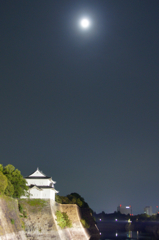 城と月