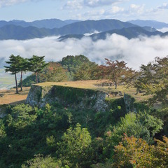 雲海に浮かぶ　　兵庫・竹田城