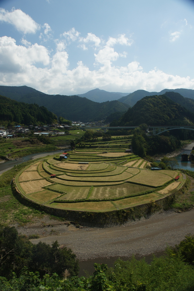 和歌山県　　あらぎ島