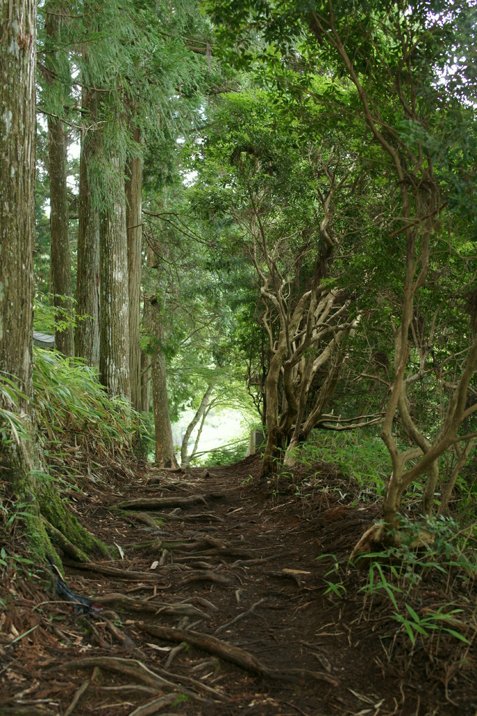 信仰の道　高野山