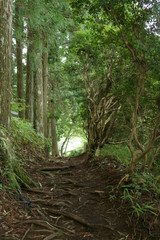 信仰の道　高野山