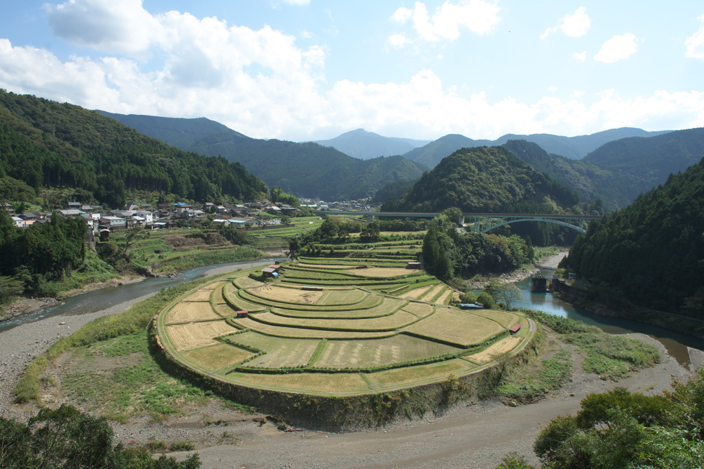あらぎ島