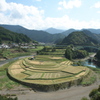 あらぎ島