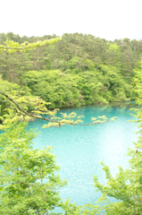 五色沼10