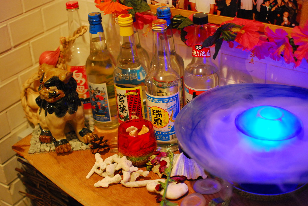魅惑の世界