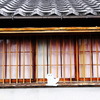 ３匹の子犬