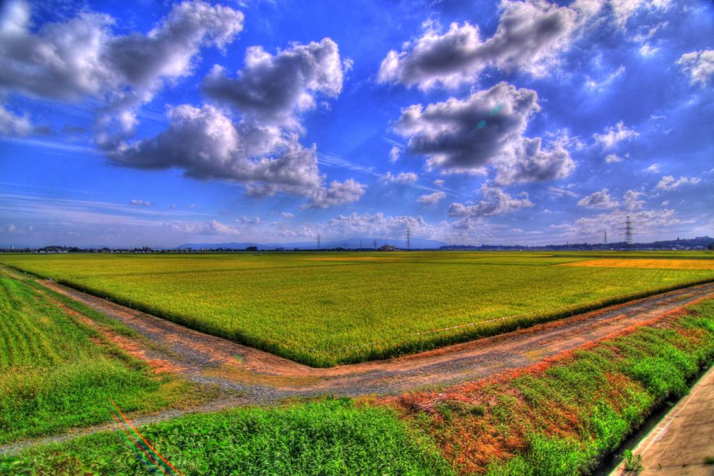 田園風景