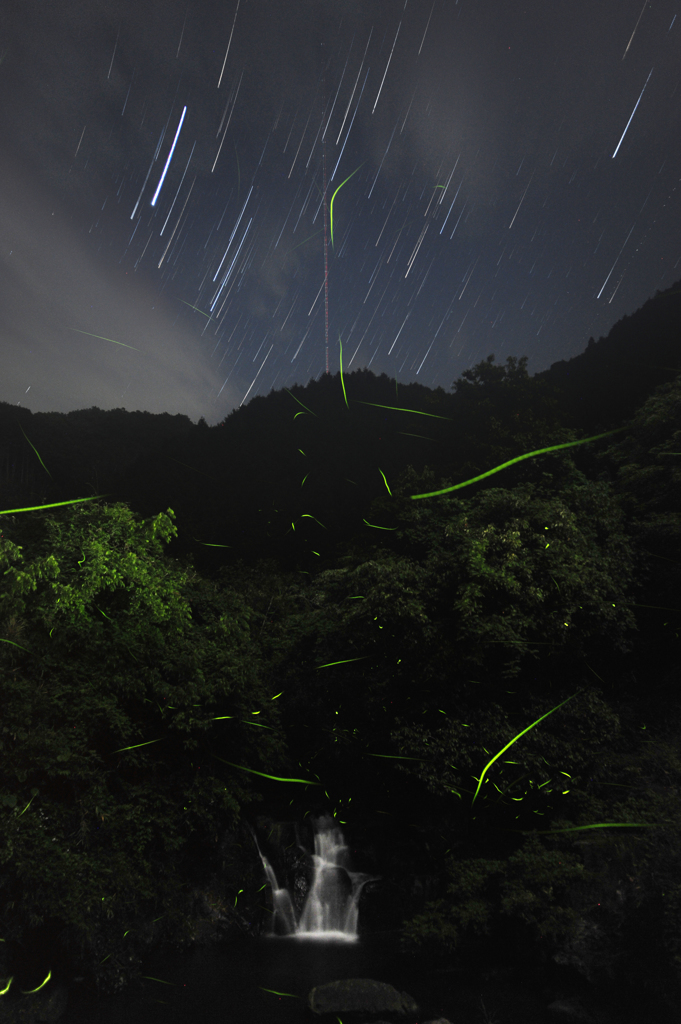 夜空から滝に舞い降りてきた蛍