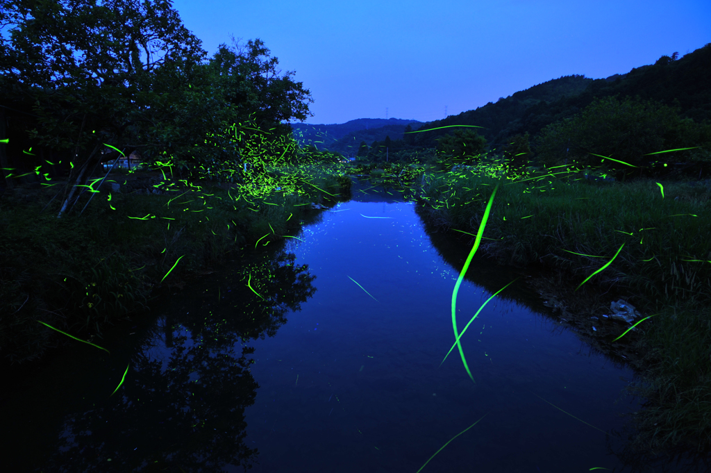 待ちこがれた夜の宴