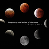 Progress of total eclipse of the moon