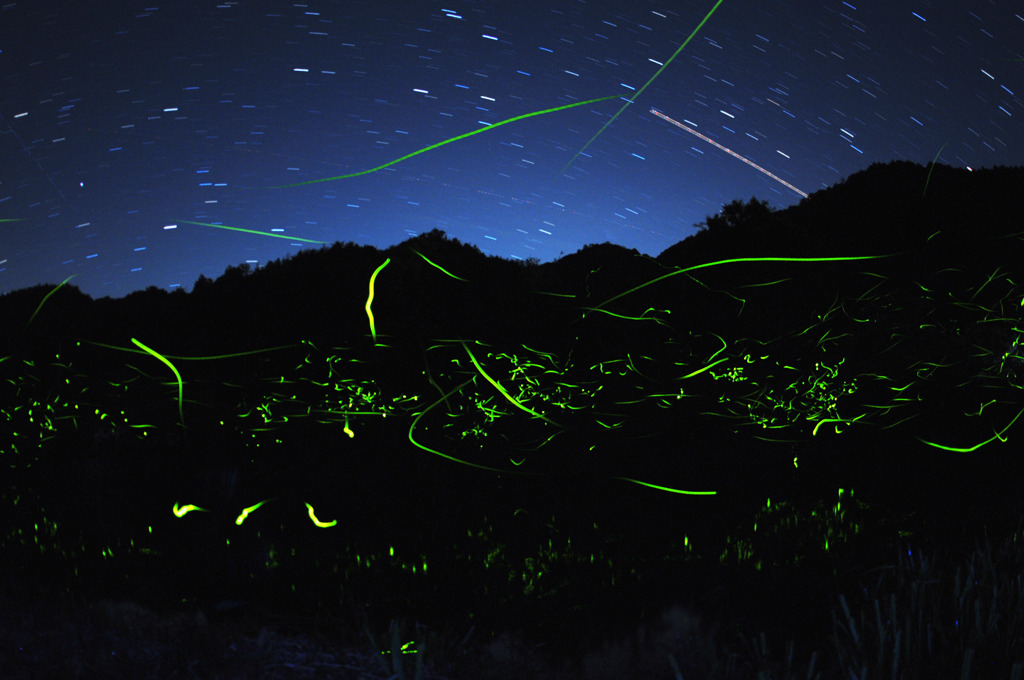 蛍と川と星と飛行機 By アホキン コレステロール Id 写真共有サイト Photohito