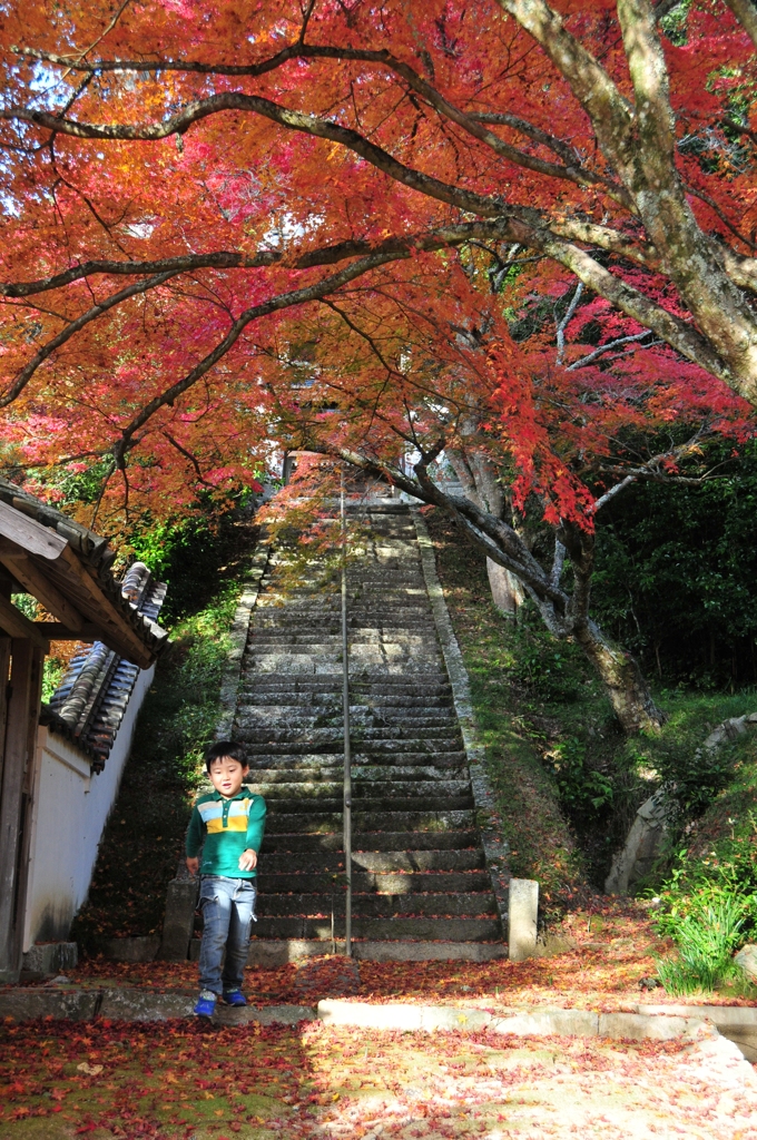 西光寺の紅葉