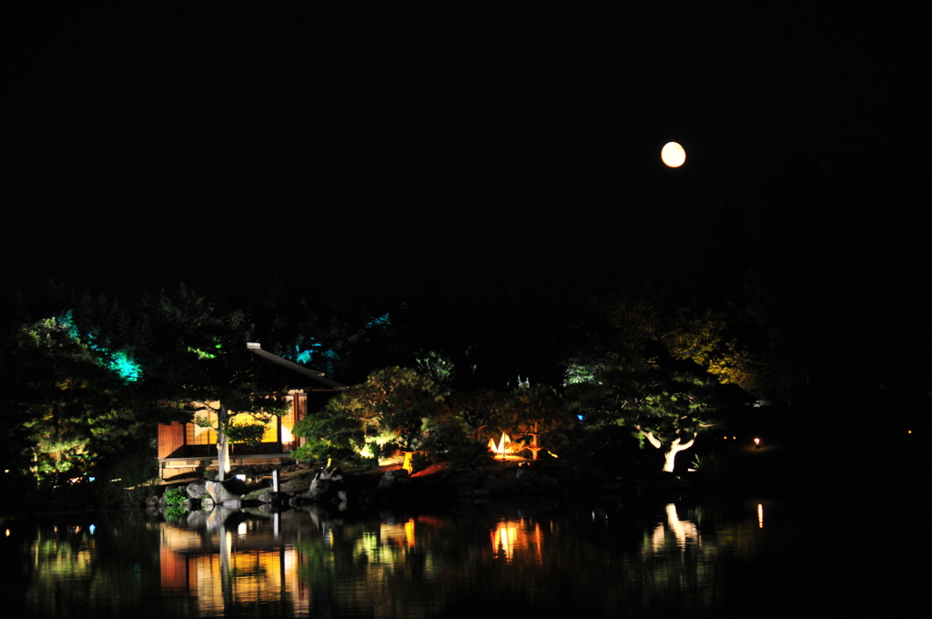 幻想庭園１