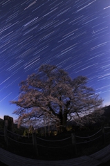 この写真　流れ星が見えまうぃっしゅ　SHOOTING　STARっす