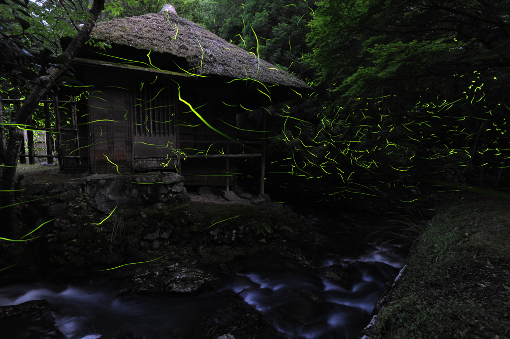 先人たちも観た光景