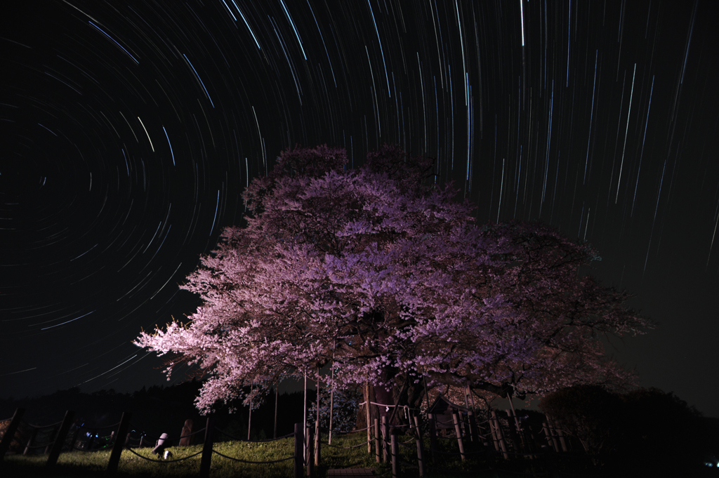 悠久の風景