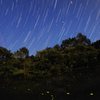 夜空と地上の星たちのコラボ