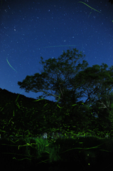 夜空の星と地上の星のコラボ（静かなバージョン）