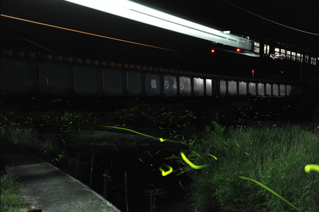 電車とホタル2