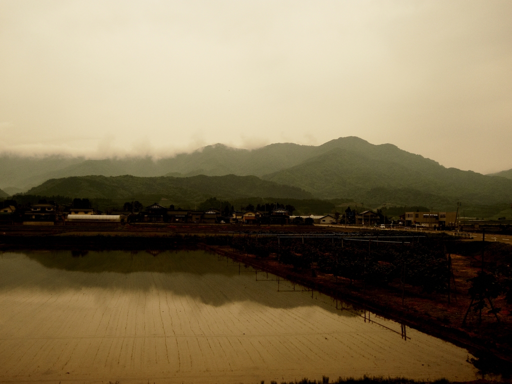 田園