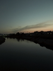 夕方の河