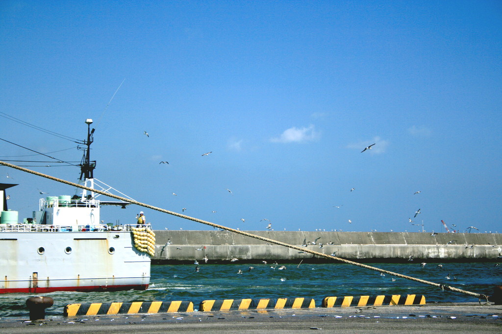 帰港