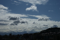 DSC03146