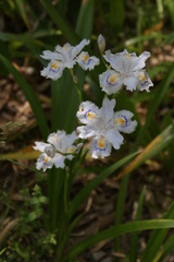 DSC01292