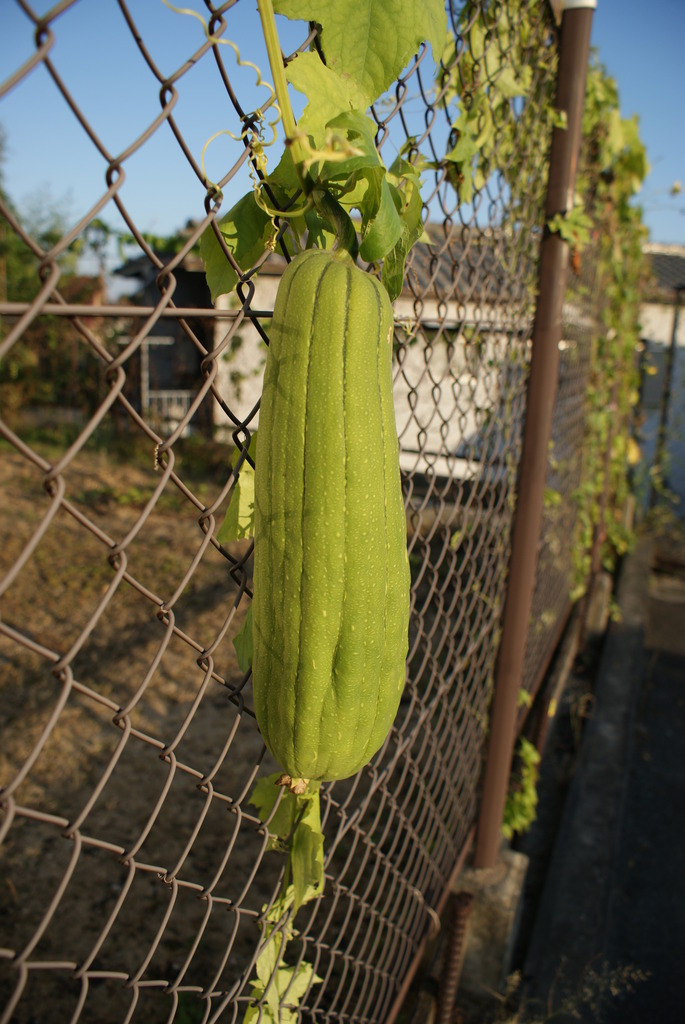 DSC02669