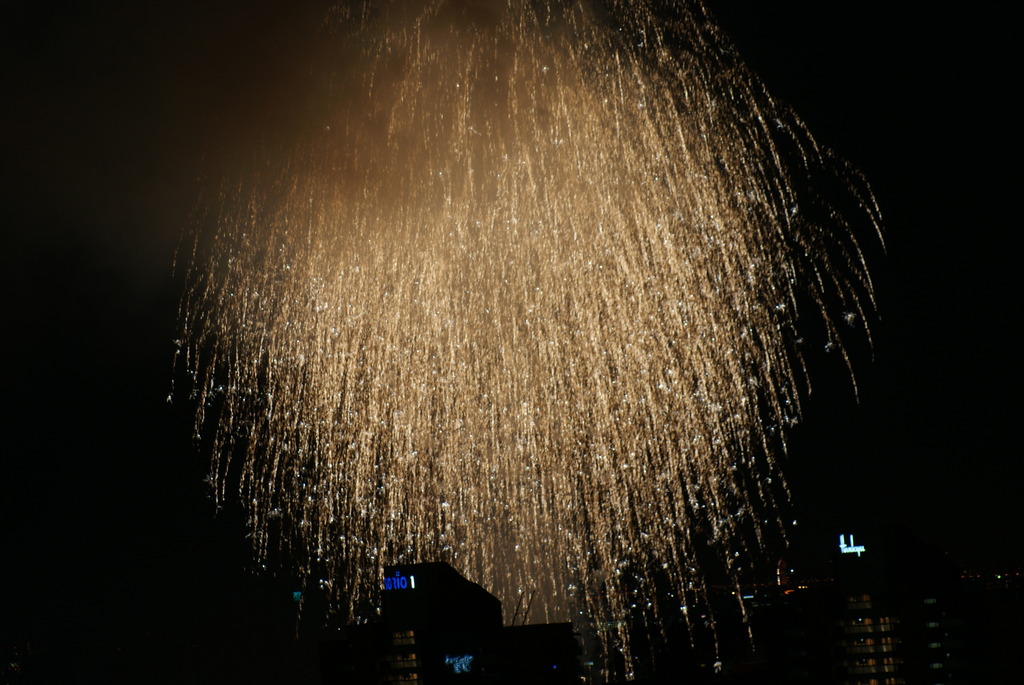 DSC02102