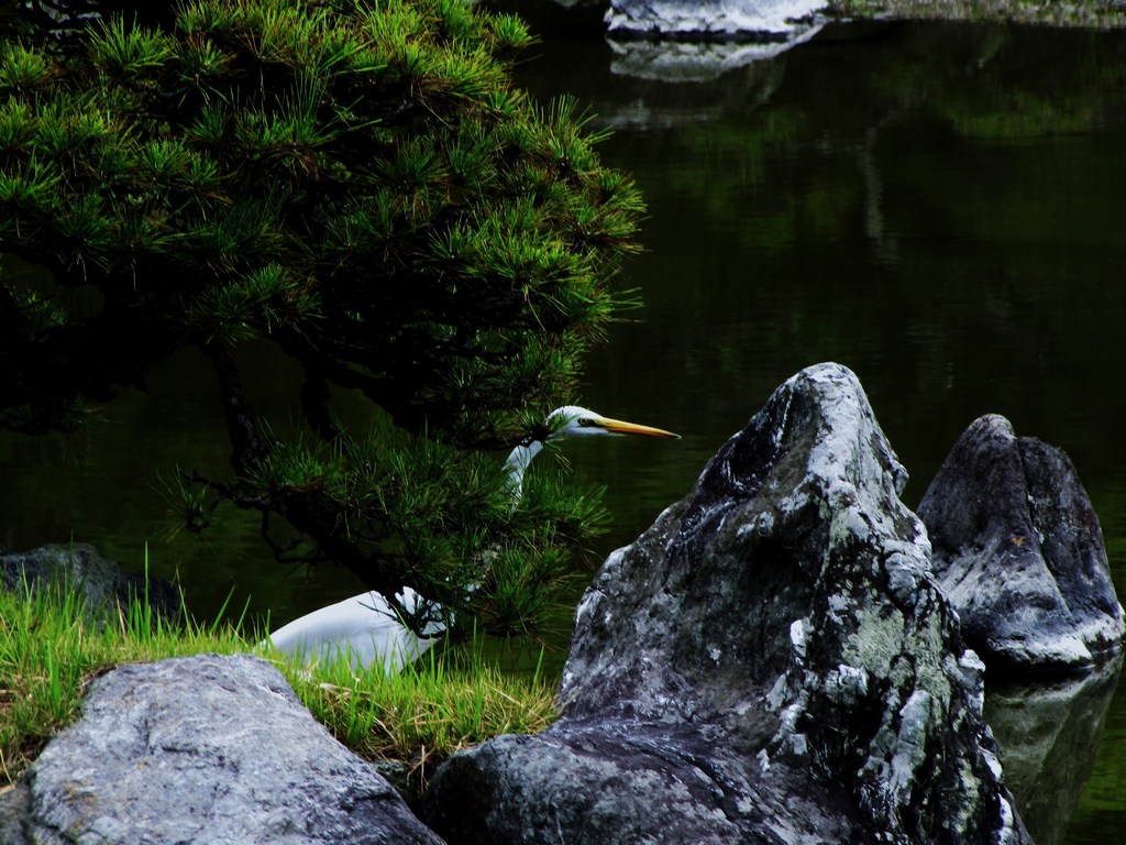 日本