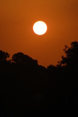 龍田憩いの森 168