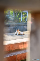 気持ち良かぁ