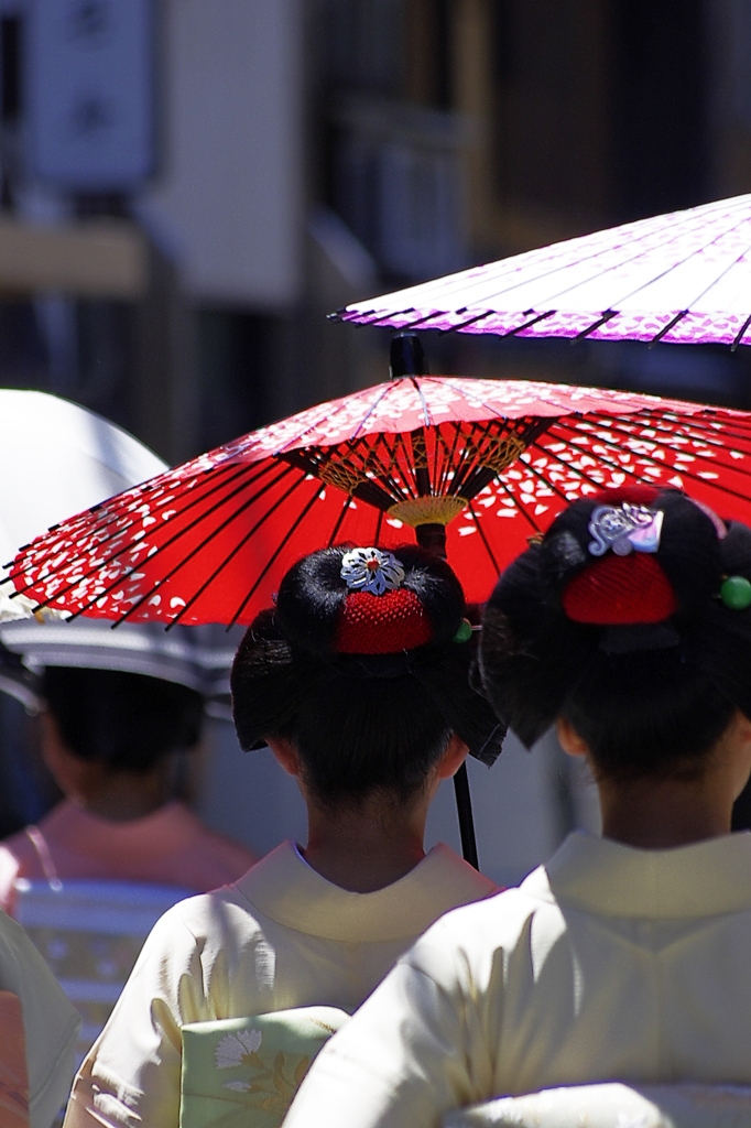 宮川町・八朔の日傘　京都スナップ