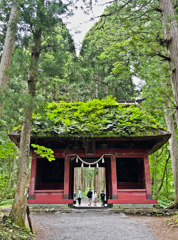 戸隠神社　奥社へ