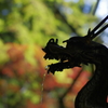 龍