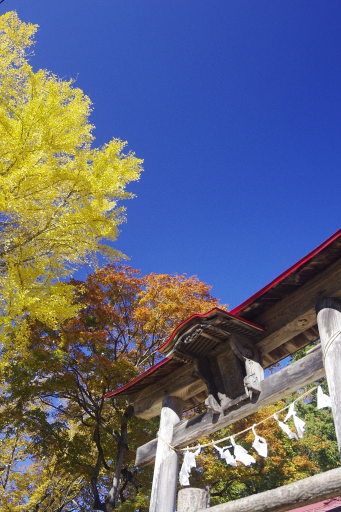 秋の空