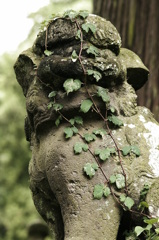 困りました……