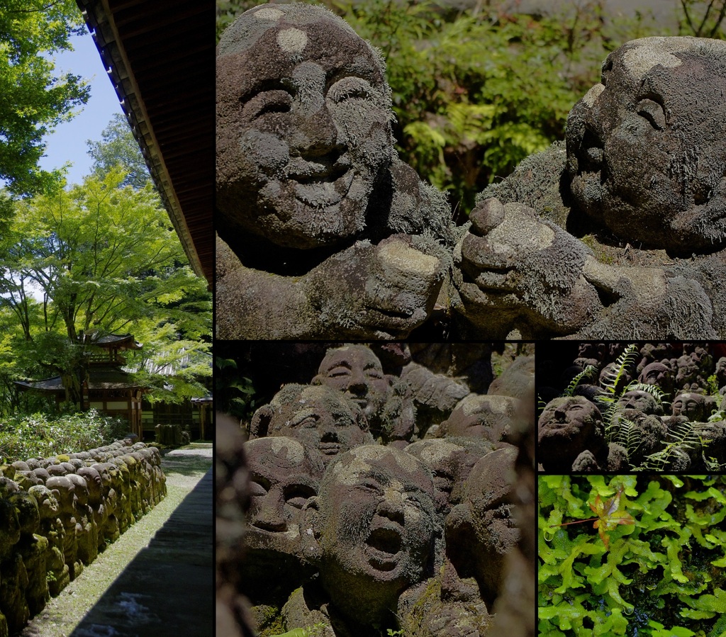 嵯峨野・愛宕念仏寺　京都スナップ