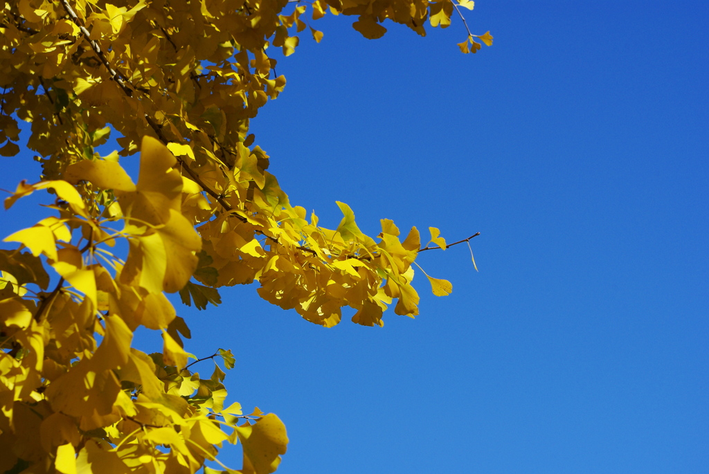 空２