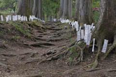 城峰神社　参道