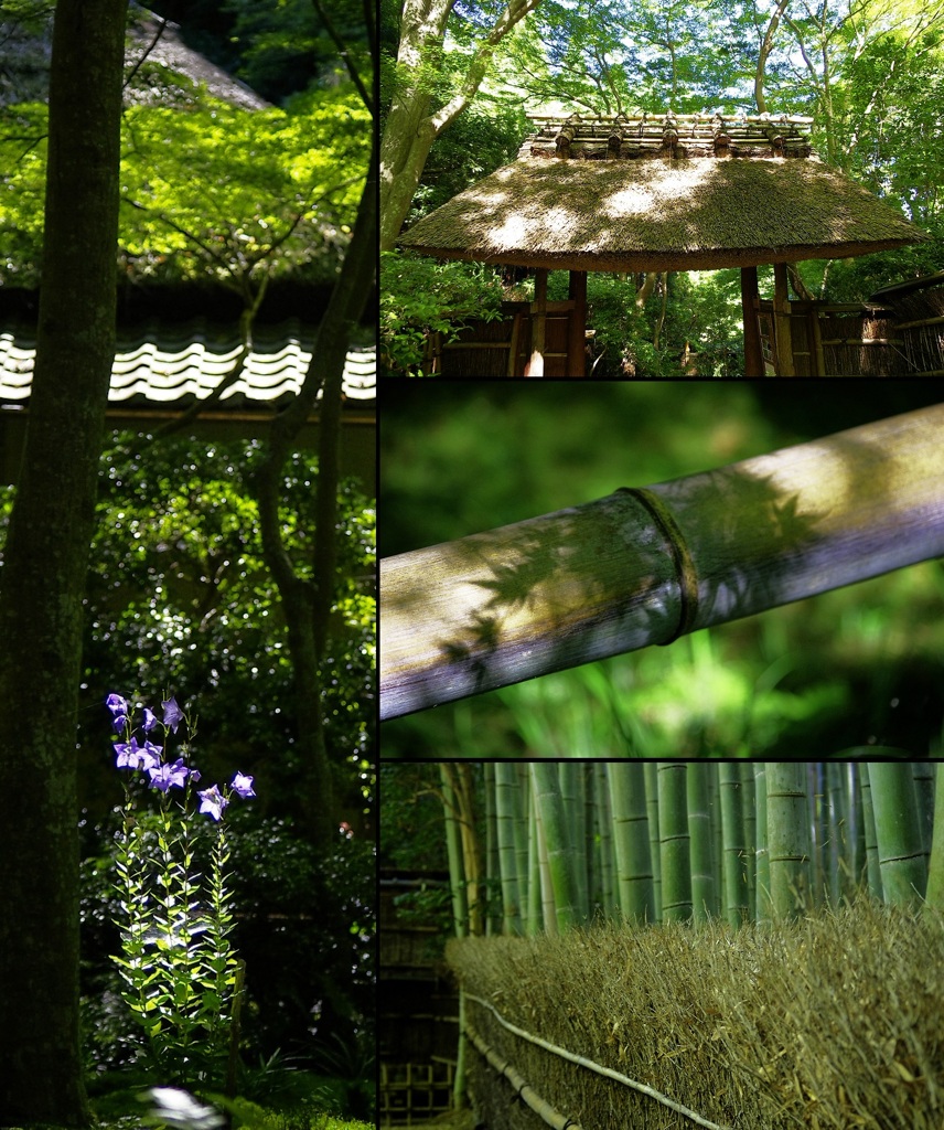 祇王寺　京都スナップ